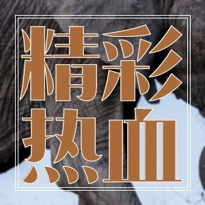 斷腸試毒！好看言情，都市經典